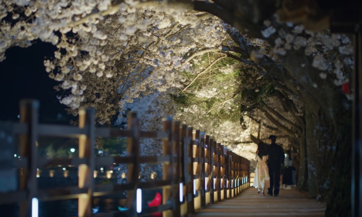 O túnel de flores iluminado, ao fim do passeio